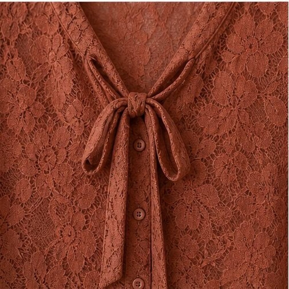 Rust Pleated Blouse - Picture 4 of 6
